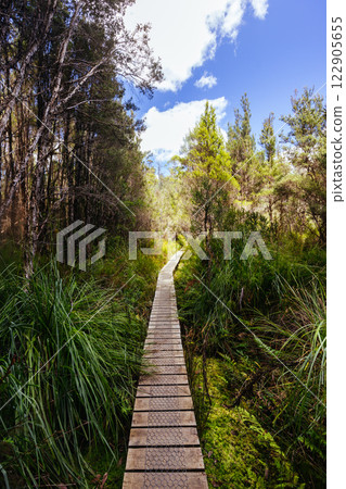 Frenchmans Cap Suspended Bridge in Tasmania Australia Frenchmans Cap Suspended Bridge in Tasmania Australia 122905655