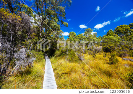 Frenchmans Cap Suspended Bridge in Tasmania Australia 122905656