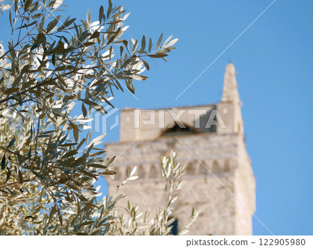Olive tree at the background of an ancient stone tower in Tuscany with copy space at the right side 122905980