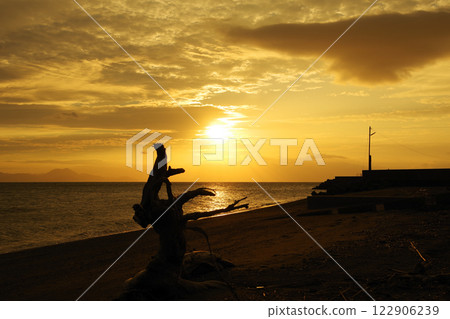 Ariake Sea, the morning sun, and the silhouette of driftwood washed up on the shore 122906239