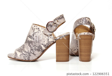 Snake Skin Print Wedge High Heel Shoes on White Background 122906351