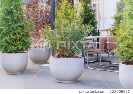 Potted plants near terrace of a street cafe. Green bushes and other plants in large pots. Lifestyle in city. Sunny day. Potted plants near terrace of a street cafe. Green bushes and other plants in large pots. Lifestyle in city. Sunny day. 122906627