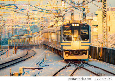 雪送炭E217系列 122906939
