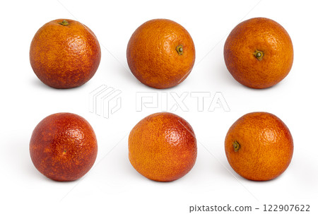 Blood red oranges collection isolated with shadows 122907622