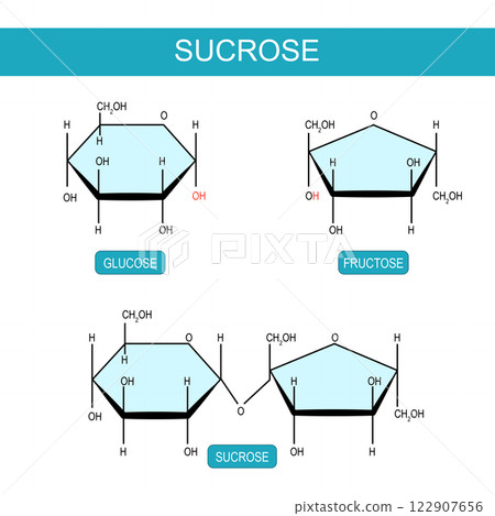 Sucrose, Fructose and Glucose molecular chemical structural formula Sucrose, Fructose and Glucose molecular chemical structural formula 122907656