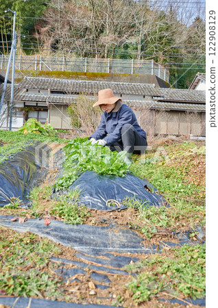 Woman working in the fields, country life, home garden 122908129