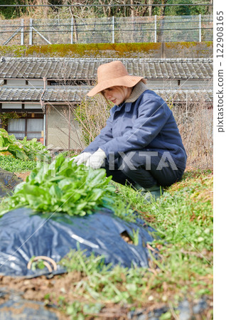 Woman working in the fields, country life, home garden Woman working in the fields, country life, home garden 122908165