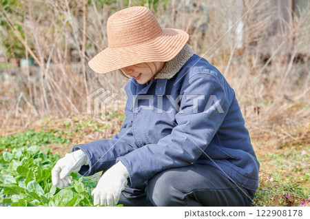 Woman working in the fields, country life, home garden Woman working in the fields, country life, home garden 122908178