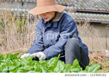 Woman working in the fields, country life, home garden Woman working in the fields, country life, home garden 122908182