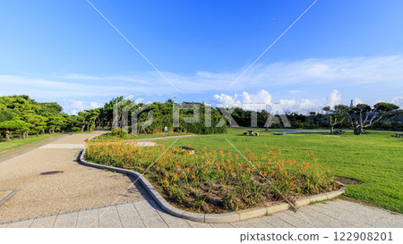 Summer jogashima 122908201