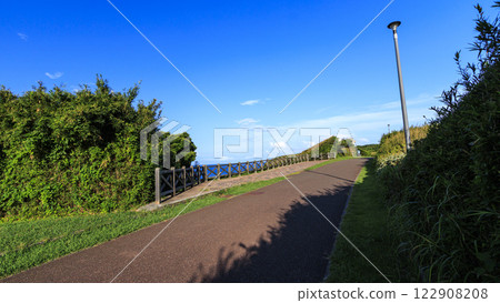 夏天jogashima 122908208