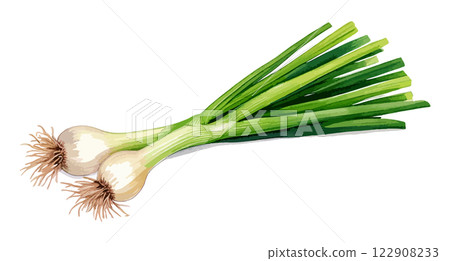 葉洋蔥水彩插圖-AI生成 122908233