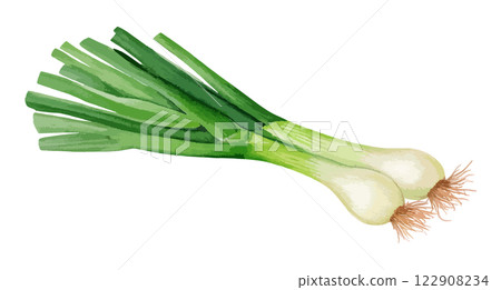 Watercolor illustration of leaf onion - AI generation 122908234