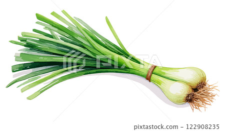 Watercolor illustration of leaf onion - AI generation 122908235