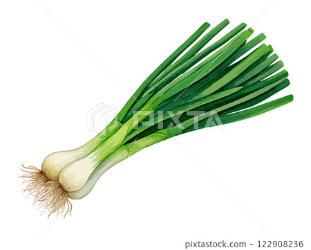 Watercolor illustration of leaf onion - AI generation 122908236