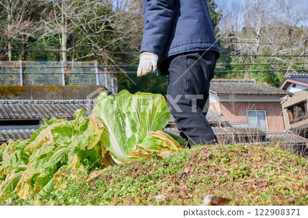 Woman working in the fields, country life, home garden Woman working in the fields, country life, home garden 122908371