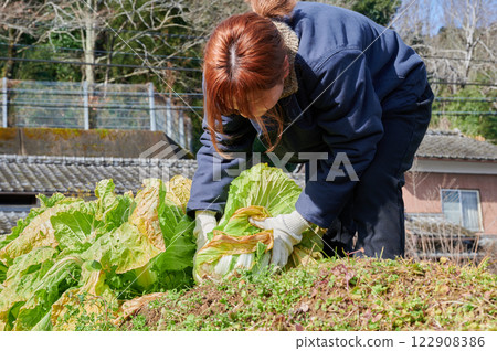 Woman working in the fields, country life, home garden 122908386