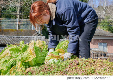 Woman working in the fields, country life, home garden 122908388