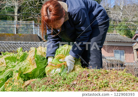 Woman working in the fields, country life, home garden Woman working in the fields, country life, home garden 122908393