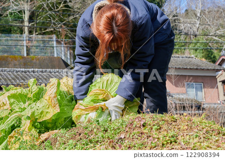 Woman working in the fields, country life, home garden Woman working in the fields, country life, home garden 122908394