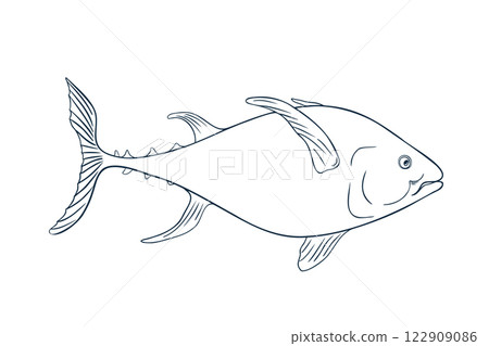 Single tuna fish black white vector illustration. Sea fish sketch hand drawn. Yellowfin tuna painted ink linear art. Kingfish drawing in graphic outline. Design element for package, label, sign board. 122909086