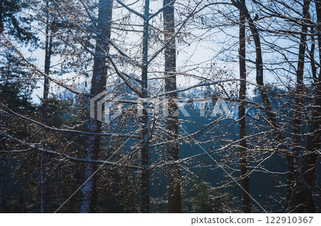 Complicated Light [Nagano Prefecture] 122910367