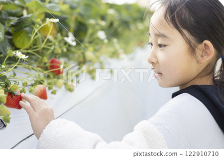 Girl enjoying strawberry hunting 122910710