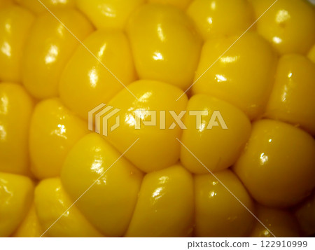 Yellow corn 122910999