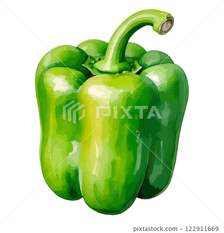 Watercolor illustration of green peppers - AI generation 122911669