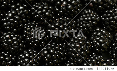 Close-up of fresh blackberries with a glossy texture. Close-up of fresh blackberries with a glossy texture. 122911976