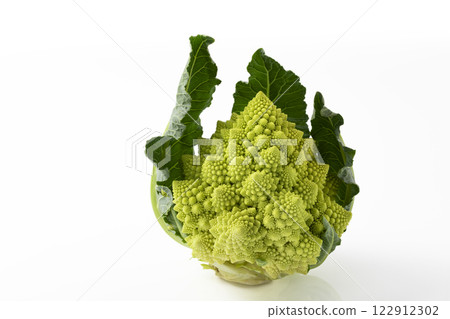 Romanesco on a white background 122912302