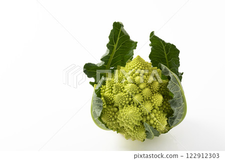白色背景下的羅馬花椰菜 122912303