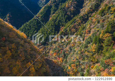 Autumn foliage on the mountainside at Shin-Toyone Dam in Toyone Village (Aichi Prefecture) 122912890