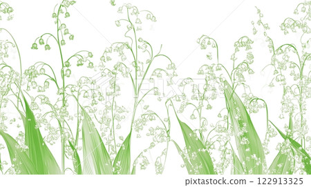 Green lily of the valley illustration Green lily of the valley illustration 122913325