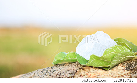 Pieces of alum stone on green leaf against blurred background. The connection between natural minerals and plant based ingredients in traditional practices and holistic wellness. 122913733