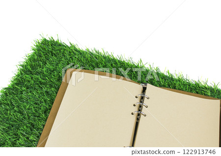 An open blank notebook resting on artificial grass, copy space for creative writing, or note taking. 122913746