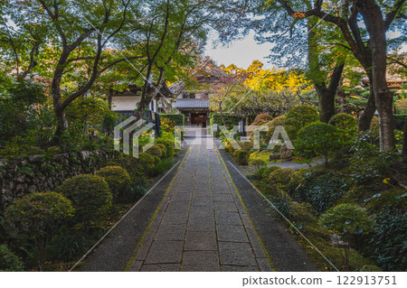 秋季樹葉開始變紅的濱松市(靜岡縣)龍潭寺參道的風景 秋季樹葉開始變紅的濱松市(靜岡縣)龍潭寺參道的風景 122913751