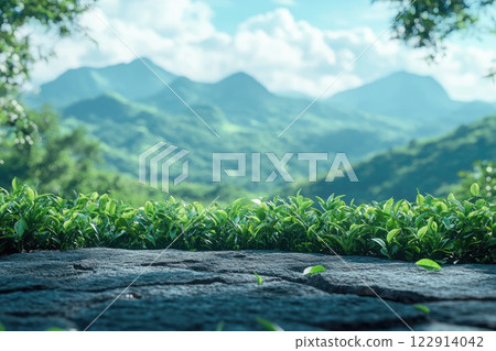Lush greenery and distant mountain landscape view 122914042