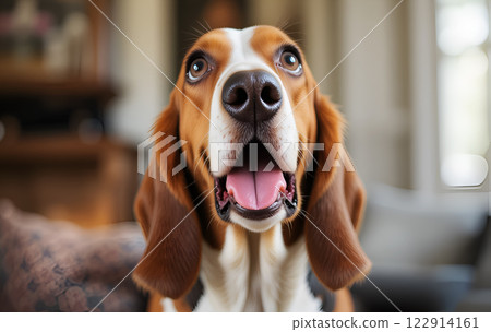 funny surprised Basset dog against cozy home  background. Digital artwork. Ai generated 122914161