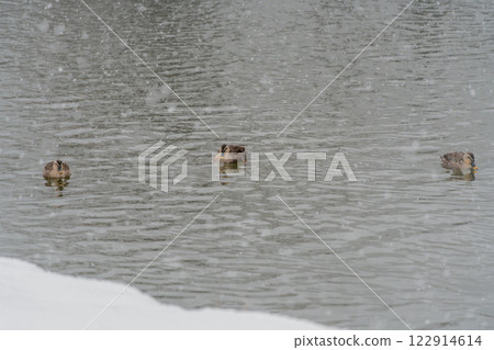 Winter Travels to Aizu: Tsuruga Castle 122914614