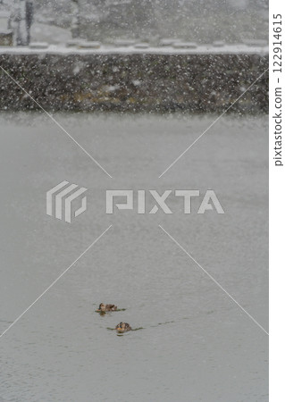 Winter Travels to Aizu: Tsuruga Castle Winter Travels to Aizu: Tsuruga Castle 122914615