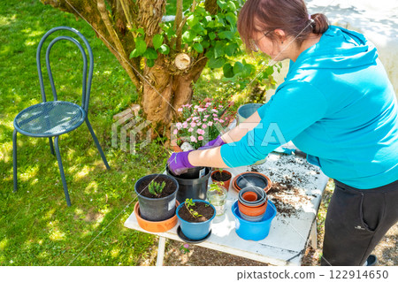 Woman in a blue hoodie repotting plants on a table while enjoying the sunny weather in the garden 122914650