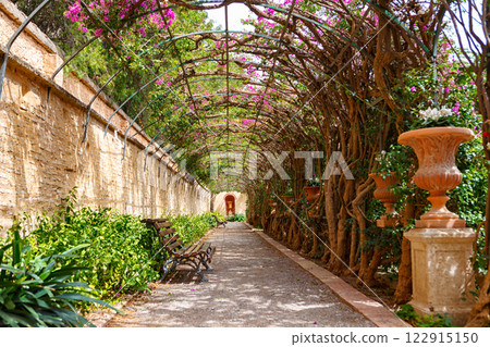 Peaceful Garden Walkway Adorned With Flowering Vines in a Serene Outdoor Setting Peaceful Garden Walkway Adorned With Flowering Vines in a Serene Outdoor Setting 122915150