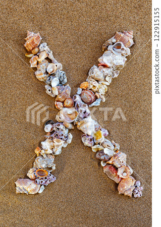The letter X of the English alphabet, a letter made of seashells on the sand. 122915155