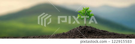 A young tree growing on fertile soil under a blurred backdrop. 122915583