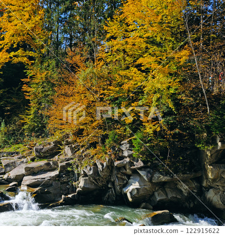 Colorful autumn landscape. A mountain river with a fast flow, an autumn forest and bright sun. Colorful autumn landscape. A mountain river with a fast flow, an autumn forest and bright sun. 122915622