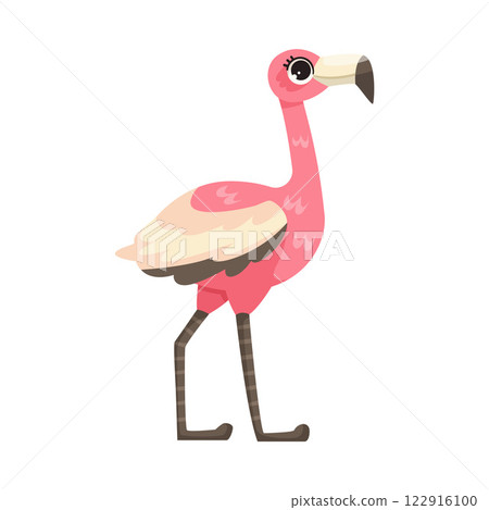Pink Flamingo with Long Neck and Leg as Tropical Animal and Wild African Fauna Vector Illustration 122916100