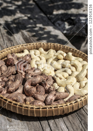 organic cashew nuts in cambodia farm 122916156