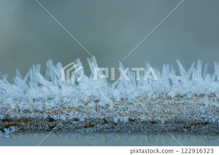 Frost Ice Crystals Formed on Winter Leaves in Nature. Abstract nature 122916323