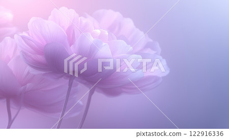 Silhouette of Lilac Peonies, Postcard Background 122916336